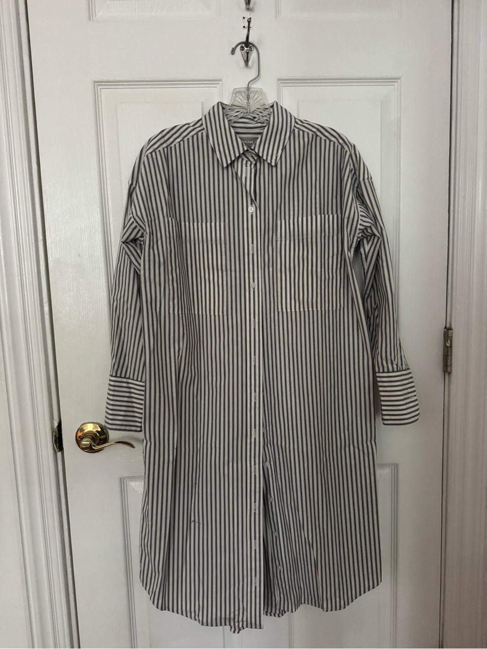 Everlane Striped Button-Down Shirt Dress in Black and White